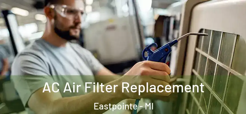  AC Air Filter Replacement Eastpointe - MI