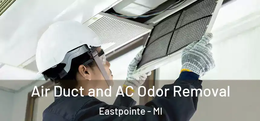 Air Duct and AC Odor Removal Eastpointe - MI