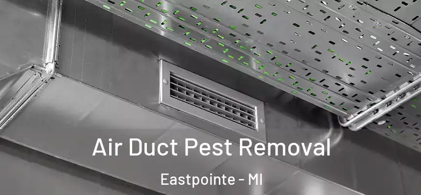  Air Duct Pest Removal Eastpointe - MI