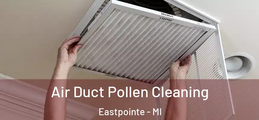  Air Duct Pollen Cleaning Eastpointe - MI