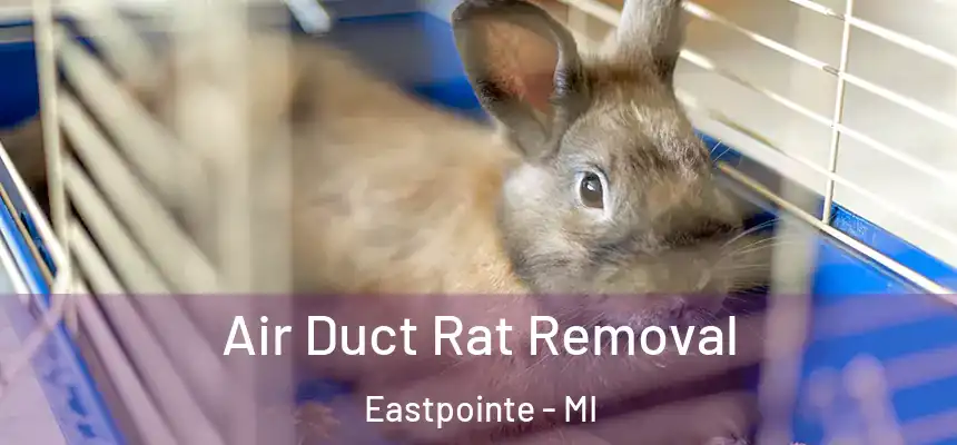  Air Duct Rat Removal Eastpointe - MI
