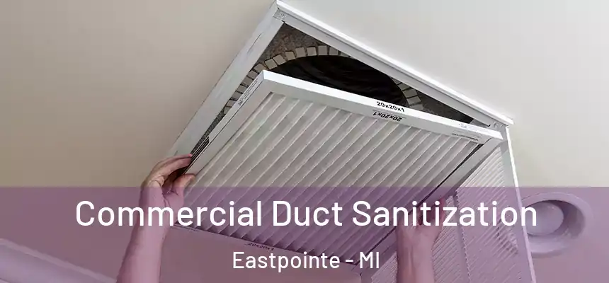 Commercial Duct Sanitization Eastpointe - MI