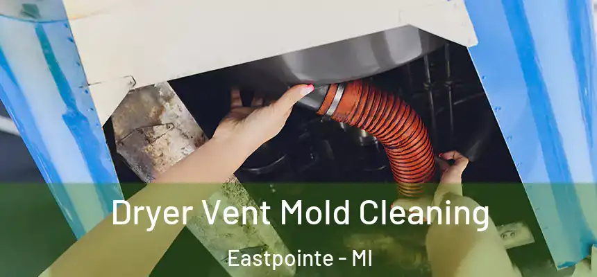  Dryer Vent Mold Cleaning Eastpointe - MI