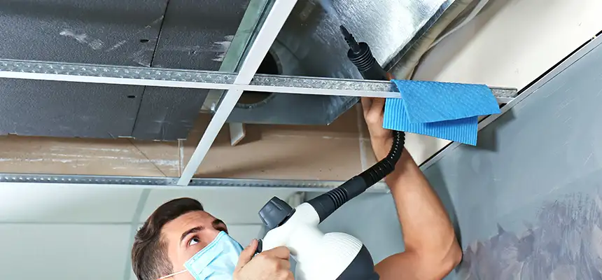 Our Air Duct Rodent Removal Services in Eastpointe, MI