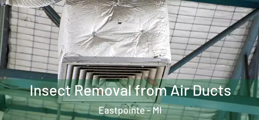  Insect Removal from Air Ducts Eastpointe - MI