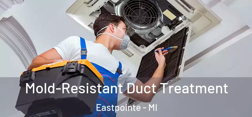 Mold-Resistant Duct Treatment Eastpointe - MI