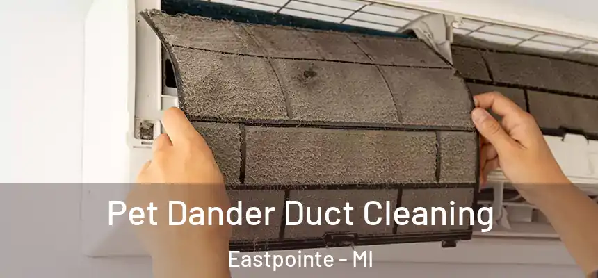  Pet Dander Duct Cleaning Eastpointe - MI
