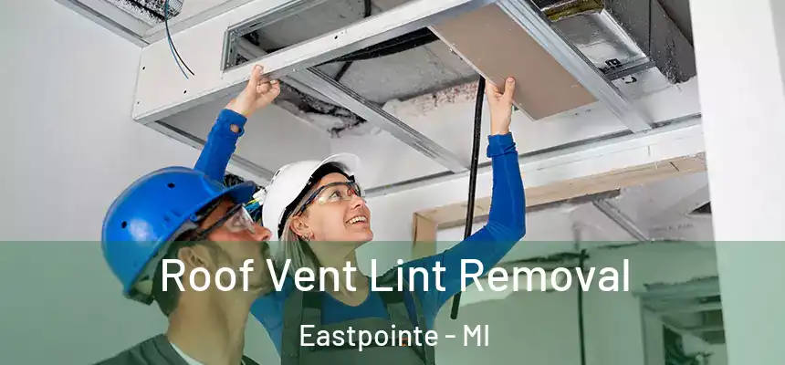Roof Vent Lint Removal Eastpointe - MI