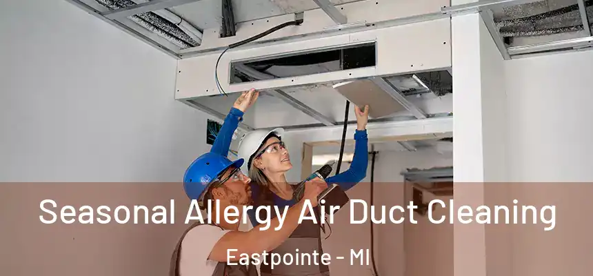 Seasonal Allergy Air Duct Cleaning Eastpointe - MI