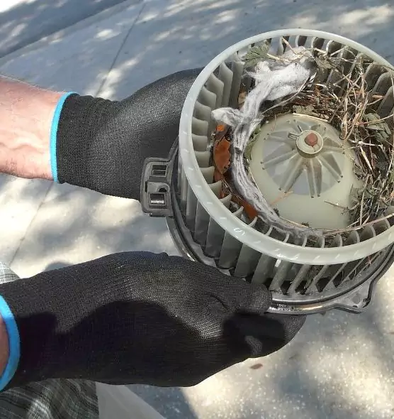 About Air Duct Rat Removal in Eastpointe, MI