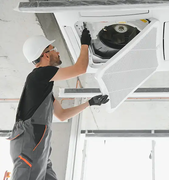 About Air Duct Rodent Removal in Eastpointe, MI