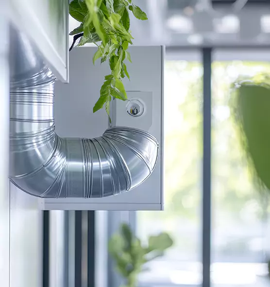 Professional Eco-Safe Dryer Vent Cleaning in Eastpointe, MI