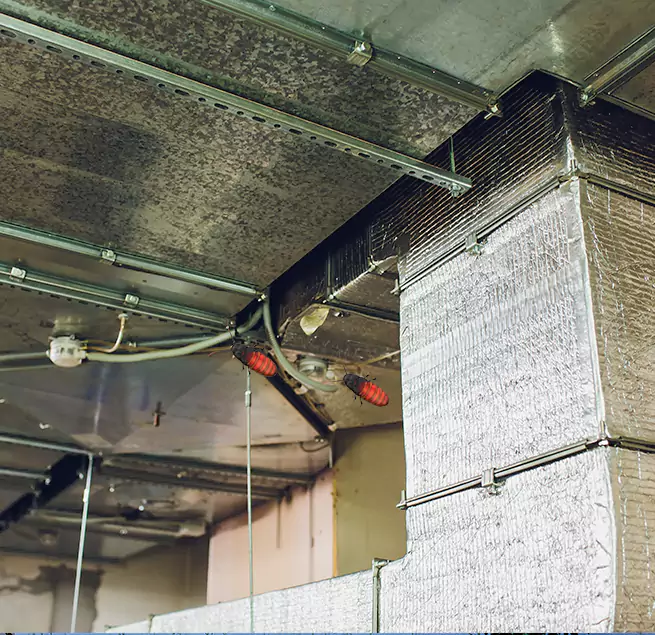 Why Homeowners & Businesses Trust Us in Eastpointe, MI?