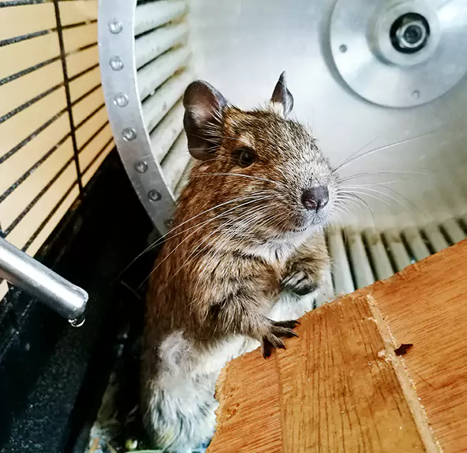 Why Homeowners & Businesses Trust Us Eastpointe, MI?